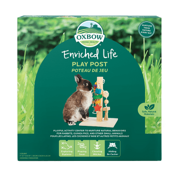 Oxbow Animal Health Enriched Life Play Post