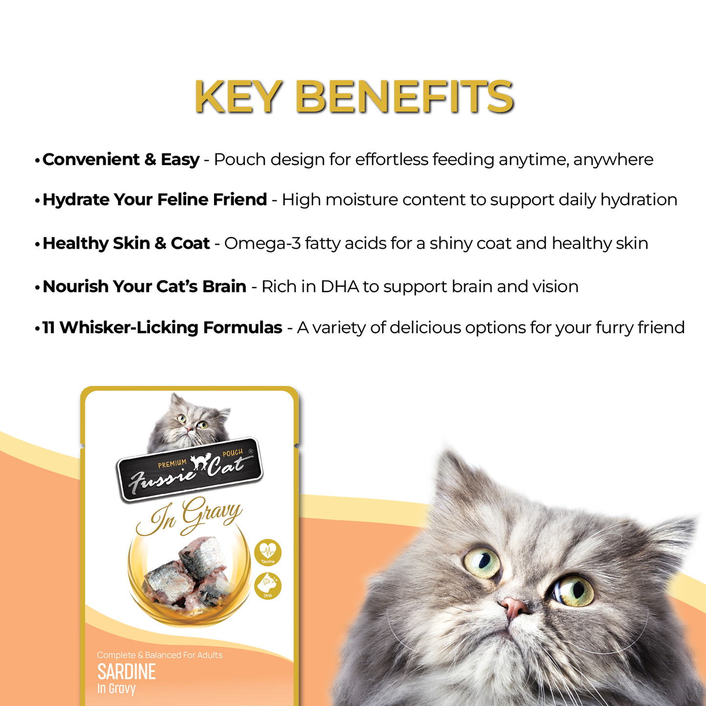 Fussie Cat Sardine in Gravy Wet Cat Food