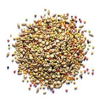 ZuPreem Sensible Seed for Small Birds