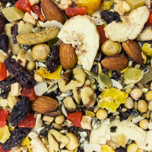 Higgins Sunburst Gourmet Natural Fruit To Nuts Conures, Parrots & Macaws Treats