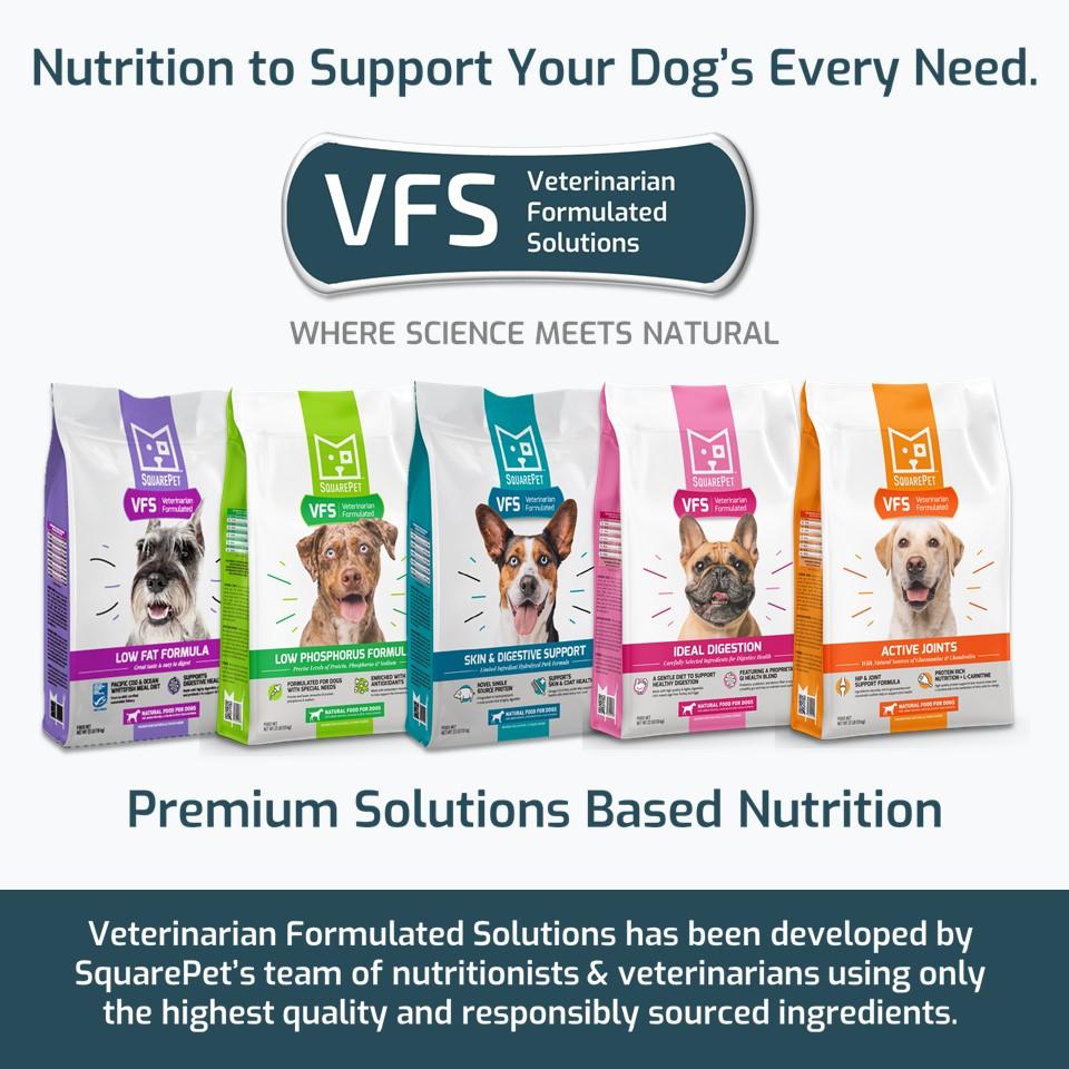 SquarePet VFS Canine Low Fat Formula