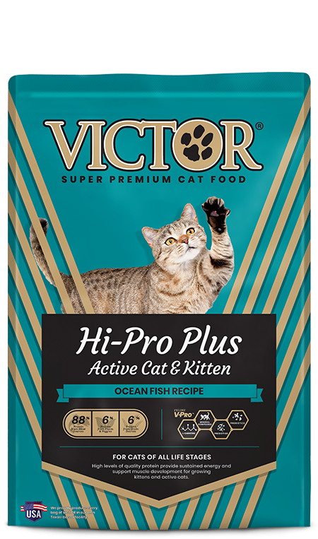 Victor Hi-Pro Plus Active Cat and Kitten Dry Food