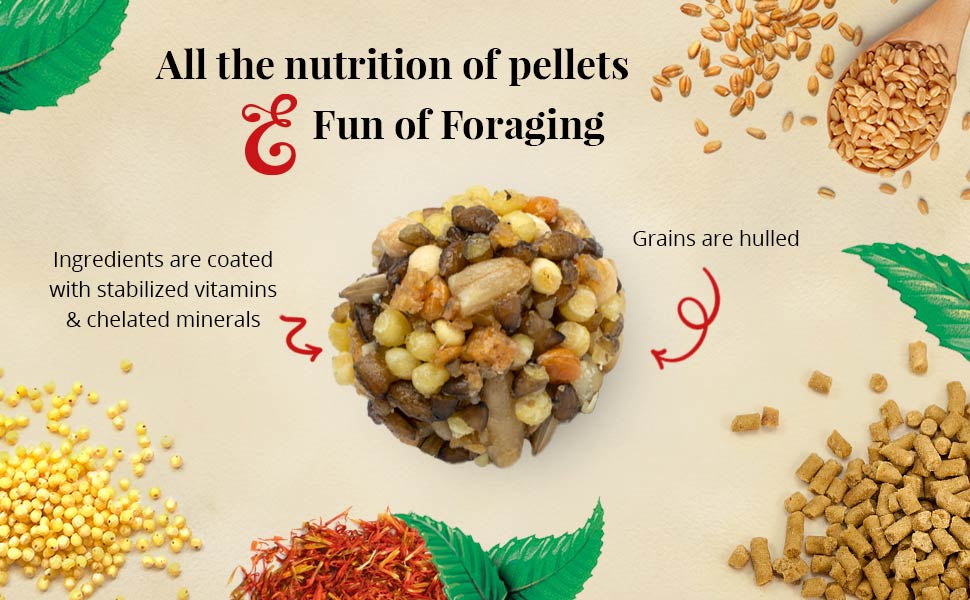 Lafeber's Classic Nutri-Berries for Cockatiels Bird Food