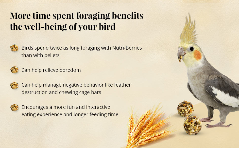 Lafeber's Classic Nutri-Berries for Cockatiels Bird Food