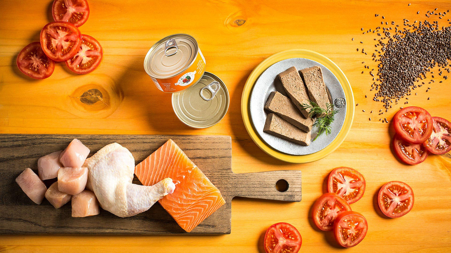 Fromm Four-Star Chicken & Salmon Paté Food for Cats