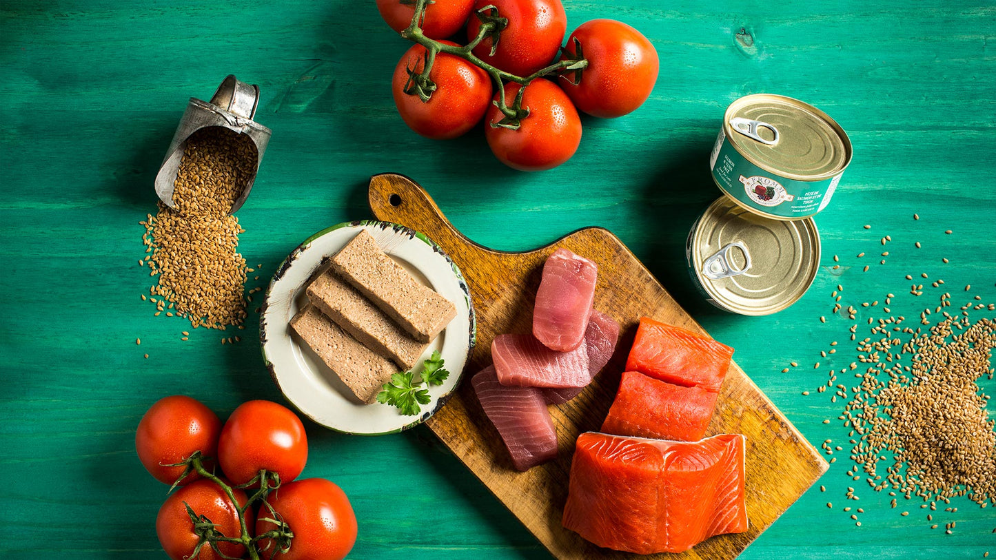 Fromm Four-Star Salmon & Tuna Paté Food for Cats