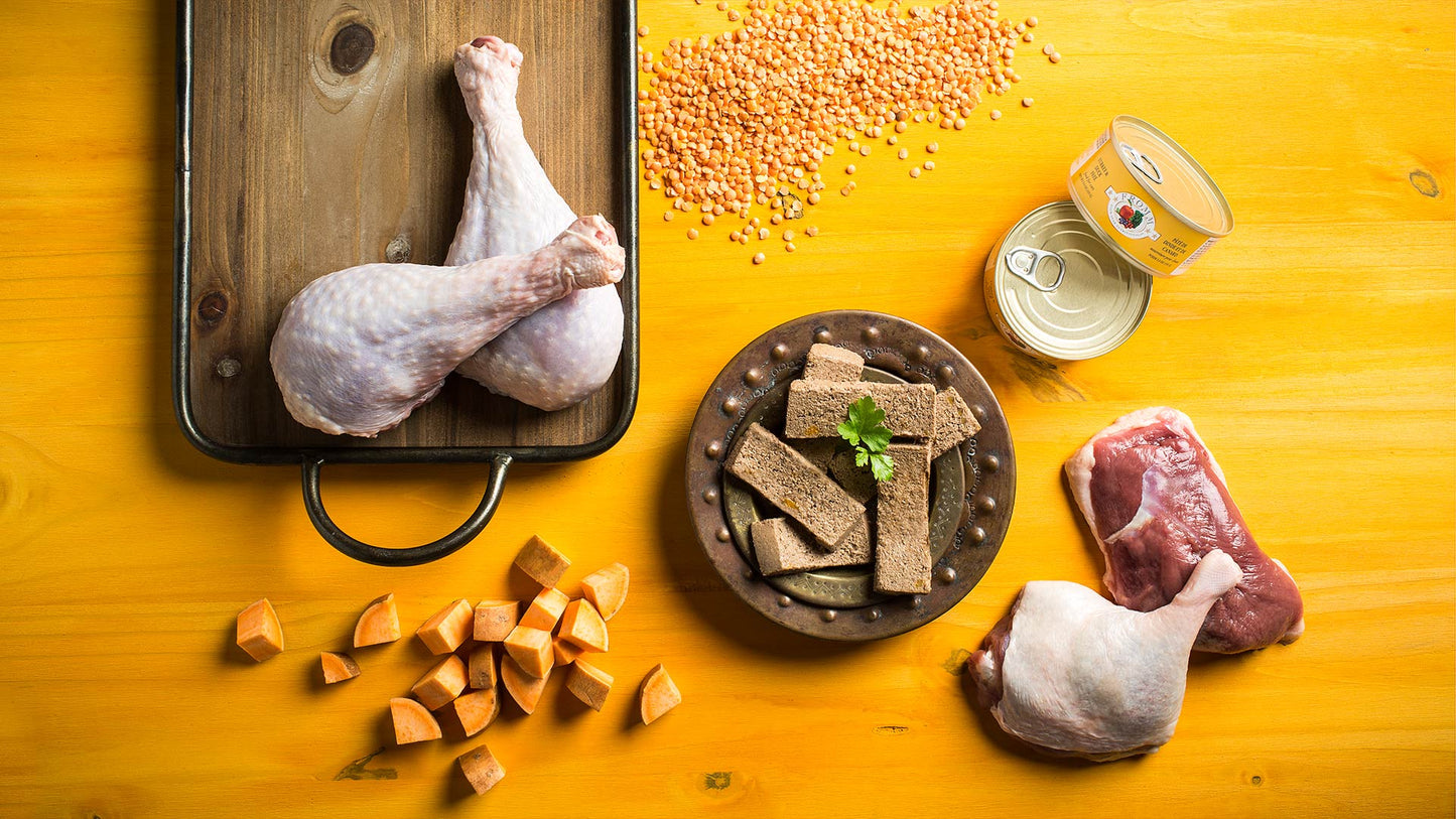 Fromm Four-Star Turkey & Duck Pâté Canned Cat Food