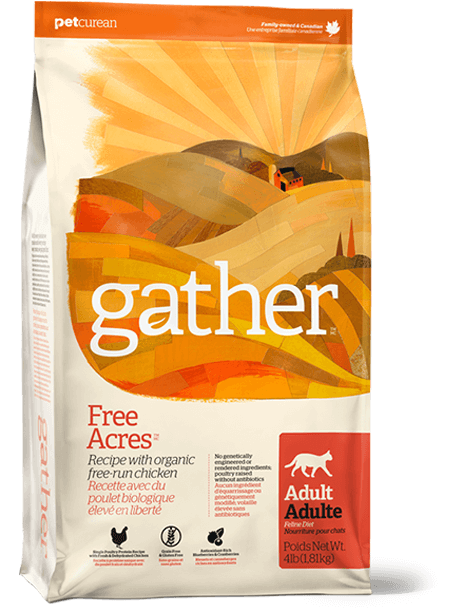 gather FREE ACRES Recipe Dry Cat Food