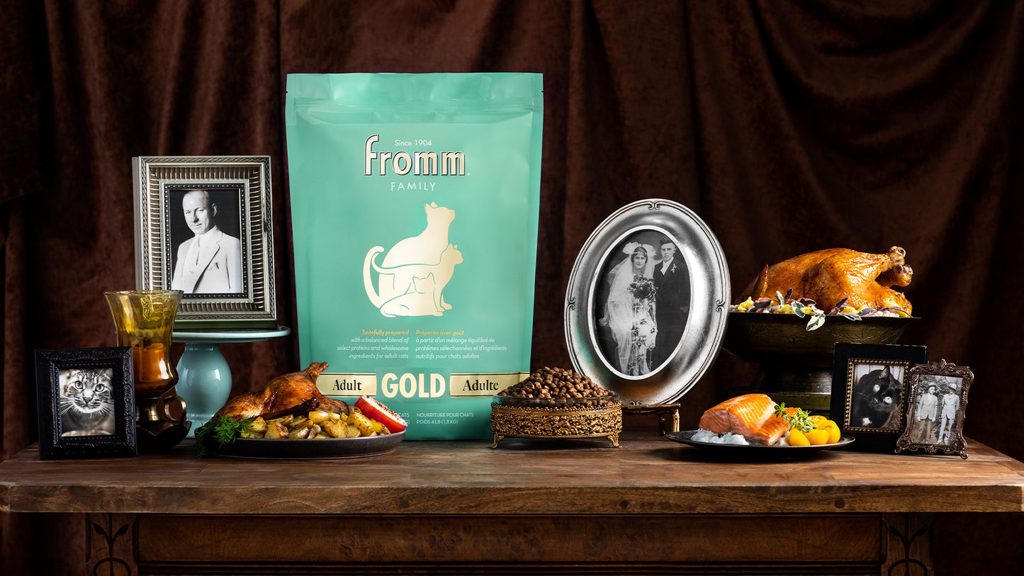 Fromm Gold Adult Dry Food for Cats
