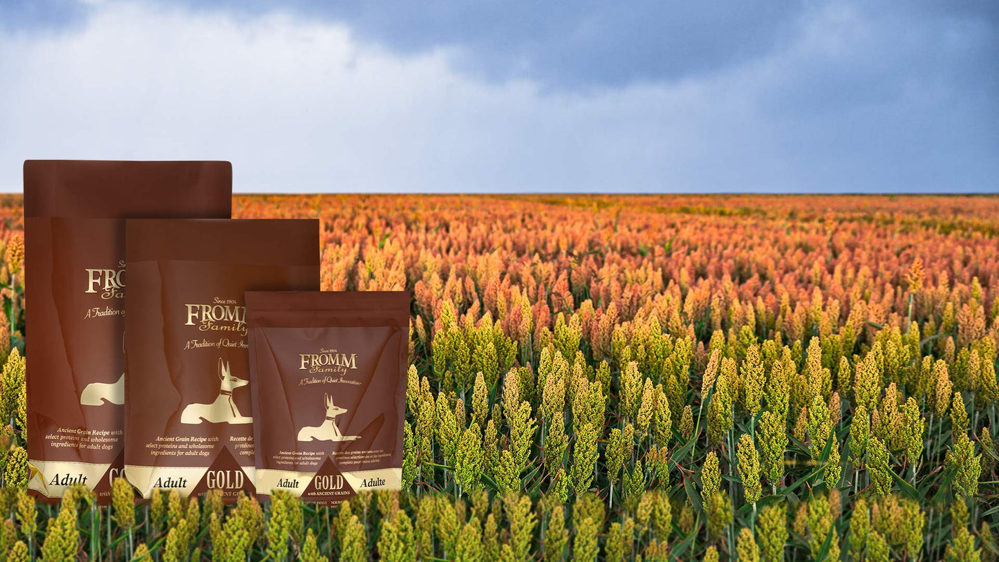 Fromm Gold Adult with Ancient Grains Dry Dog Food