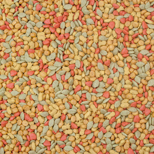 Higgins Intune Conure & Cockatiel Food