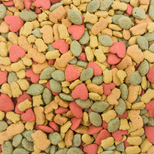 Higgins Intune Macaw Food