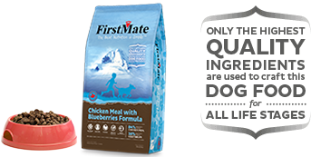 FirstMate Grain Free Limited Ingredient Diet Chicken Meal with Blueberries Formula Small Bites Dry Dog Food