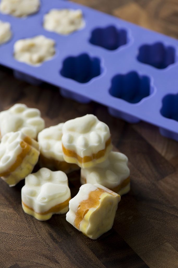 Quick Treat Time - Dog-Friendly "Candy Corn"!