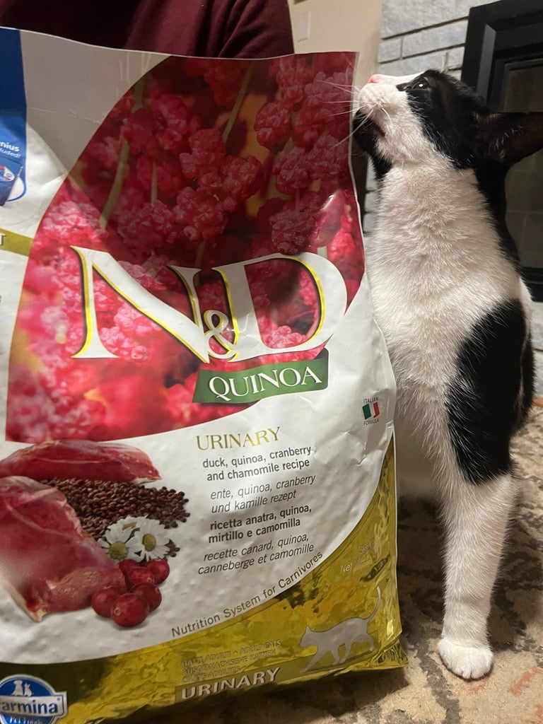 Employee Fav's - Farmina Quinoa Functional Feline Urinary Formula