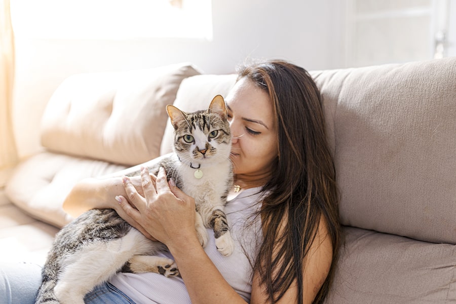 The Ultimate Checklist for New Cat Owners: What You Need Before Bringing Home Your Feline Friend
