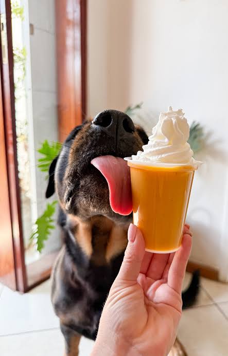 PUPkin Spice Season! - Make Your Own Pupkin Spice Latte! 🎃☕️