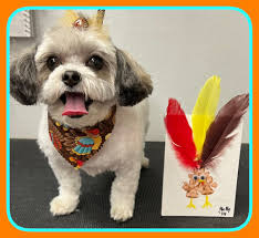 Thanksgiving DIY Paw Print Turkey Craft  🐾🦃