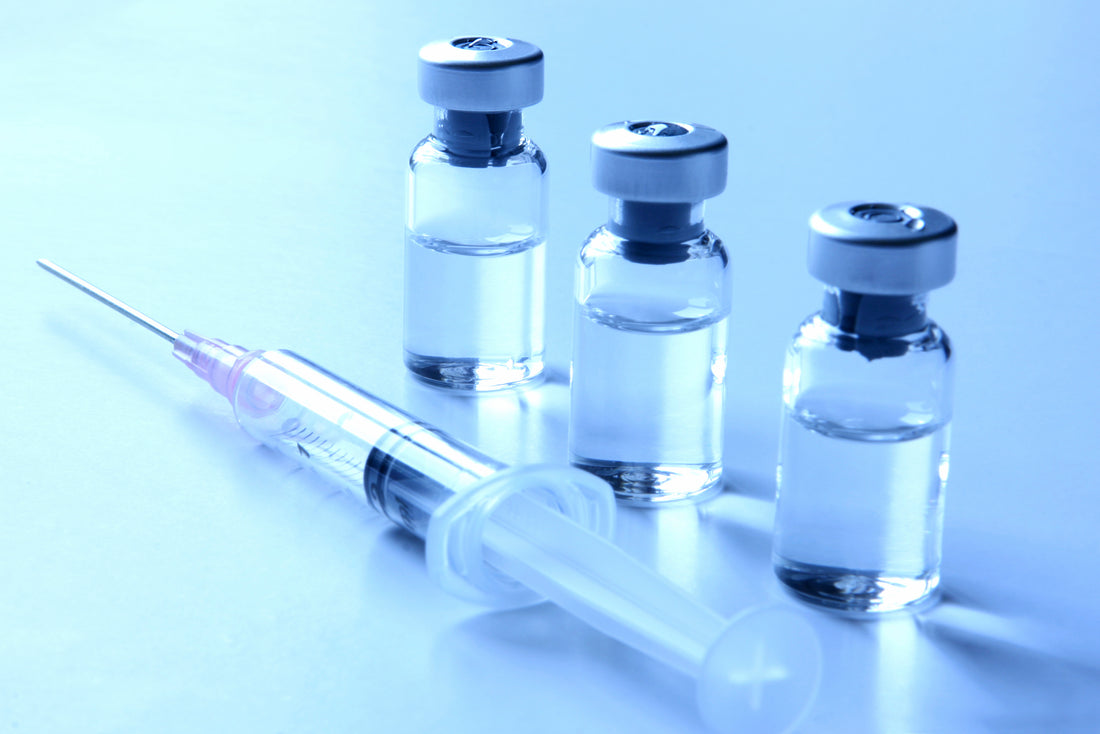 Leptospirosis – To Vaccinate or Not To Vaccinate