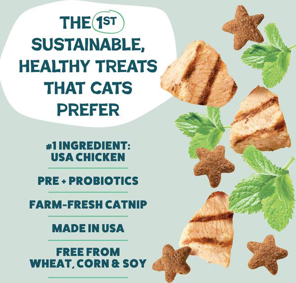 Shameless Pets Catnip N Chill Crunchy Cat Treats