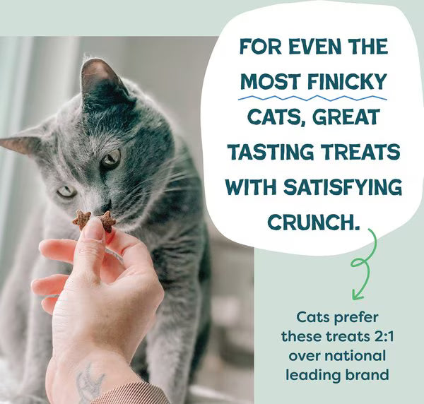 Shameless Pets Catnip N Chill Crunchy Cat Treats
