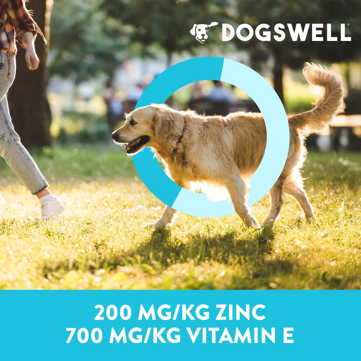 Dogswell Skin & Coat Jerky Grain Free Lamb