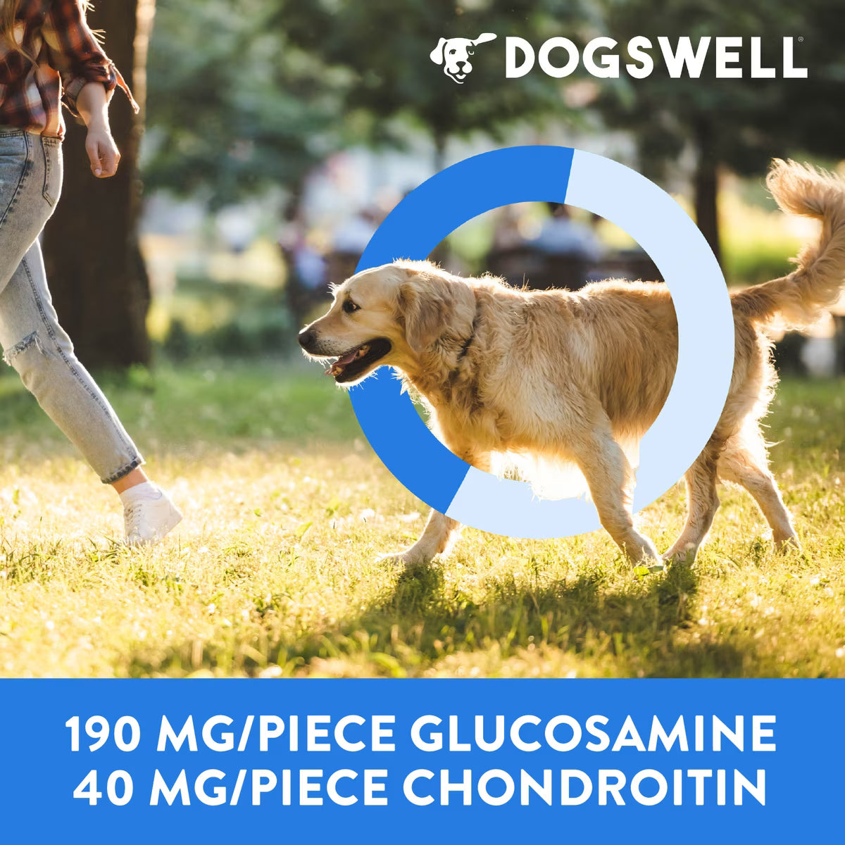 Dogswell Hip & Joint Chicken Soft & Chewy