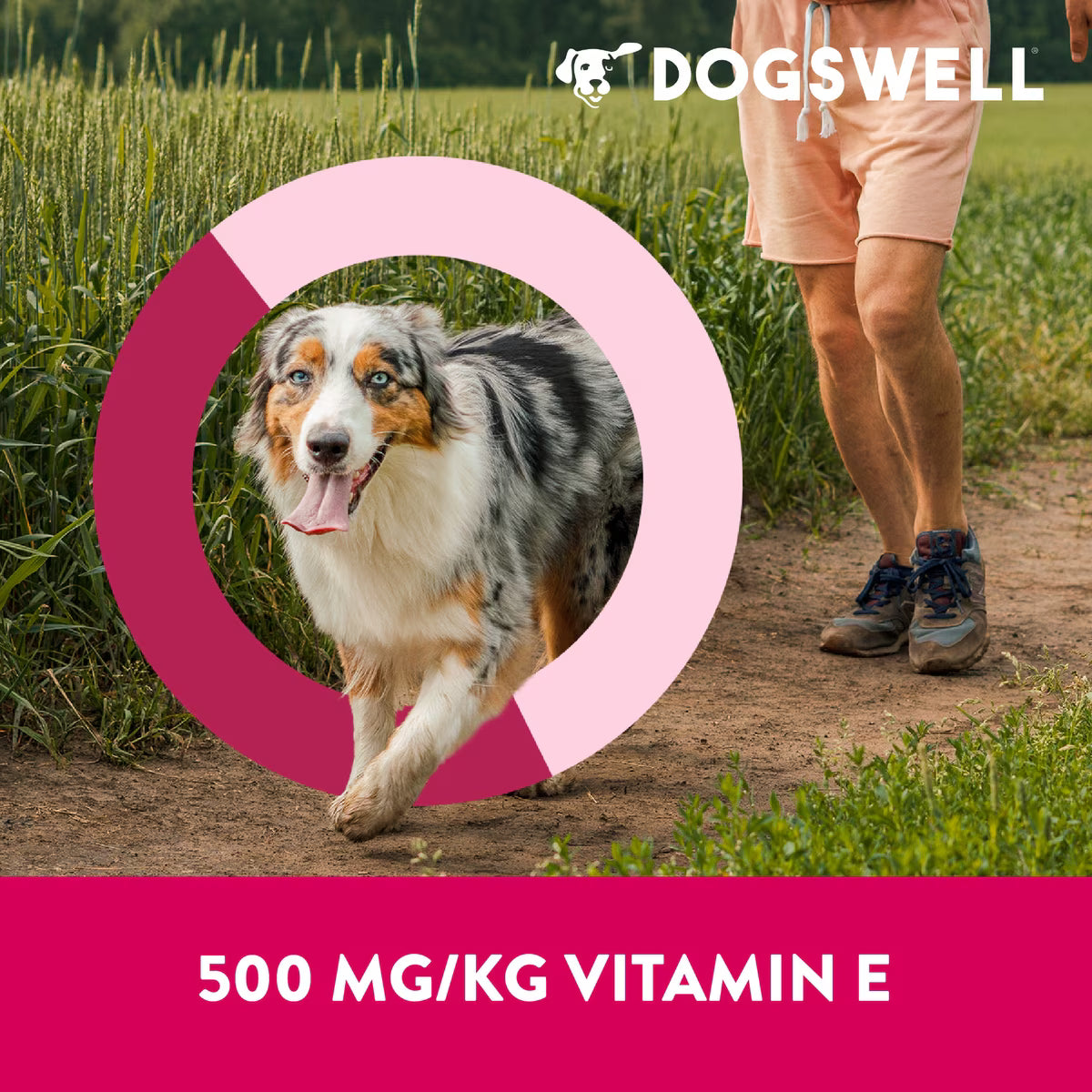 Dogswell Immunity & Defense Mini Jerky Grain Free Duck