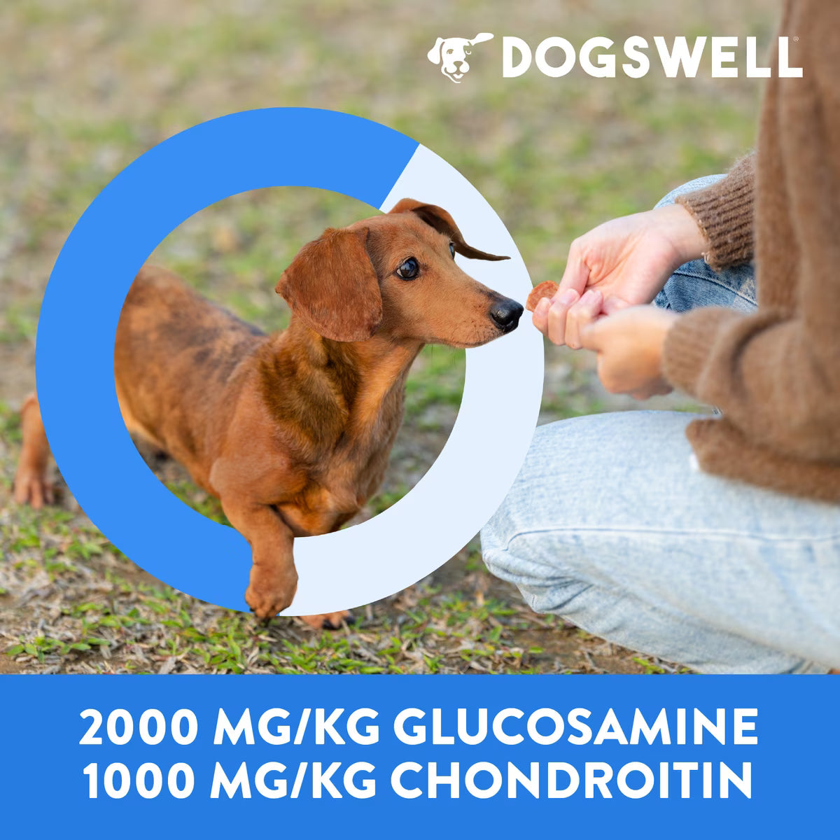 Dogswell Hip & Joint Mini Jerky Grain Free Chicken