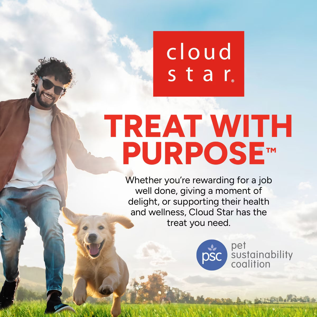 Dogswell Hip & Joint Soft Strips Grain Free Chicken