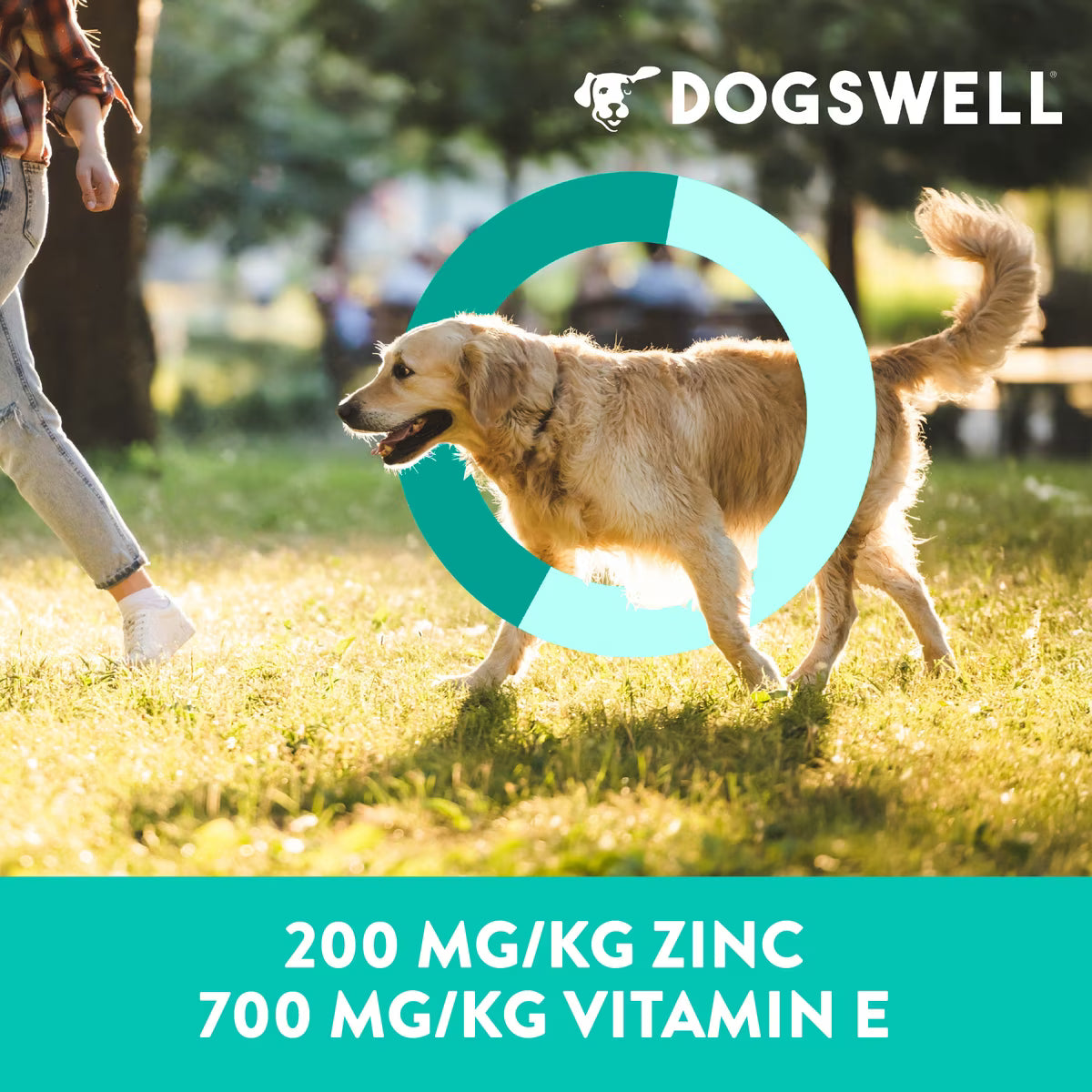 Dogswell Skin & Coat Jerky Grain Free Salmon