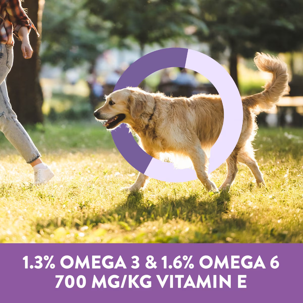 Dogswell Soft & Chewy Salmon Skin & Coat