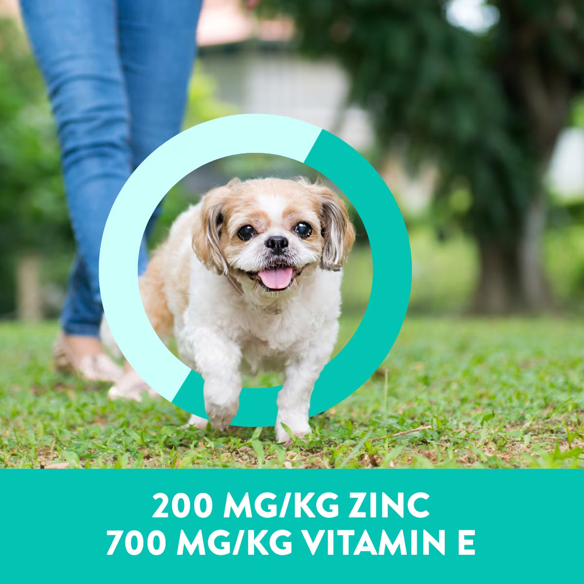 Dogswell Skin & Coat Mini Jerky Grain Free Salmon