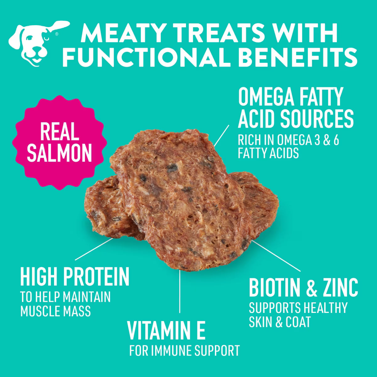 Dogswell Skin & Coat Mini Jerky Grain Free Salmon