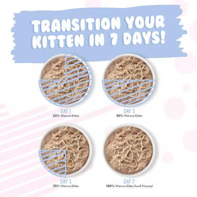 Weruva Cat Kitten Chicken & Pumpkin Formula In Gravy