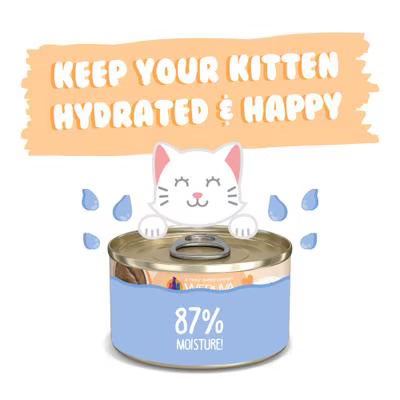 Weruva Cat Kitten Hydrating Puree Tuna & Salmon Formula