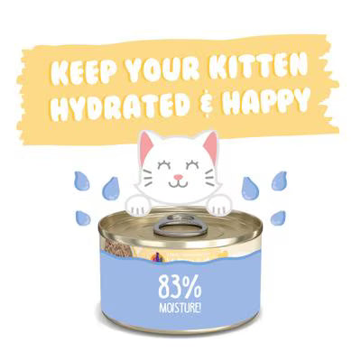 Weruva Cat Kitten Chicken Formula Au Jus