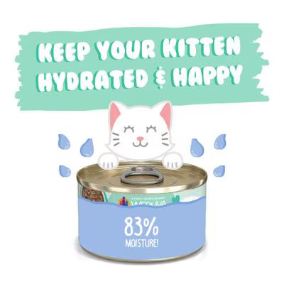 Weruva Cat Kitten Chicken & Tuna Formula In Gravy