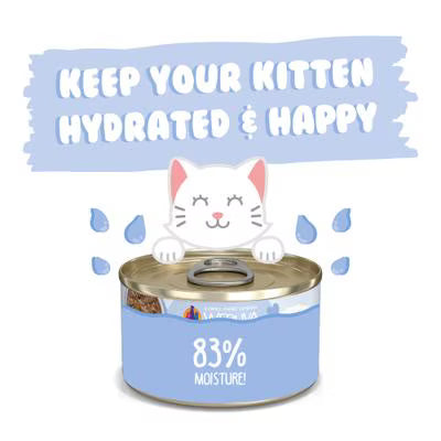 Weruva Cat Kitten Chicken & Pumpkin Formula In Gravy