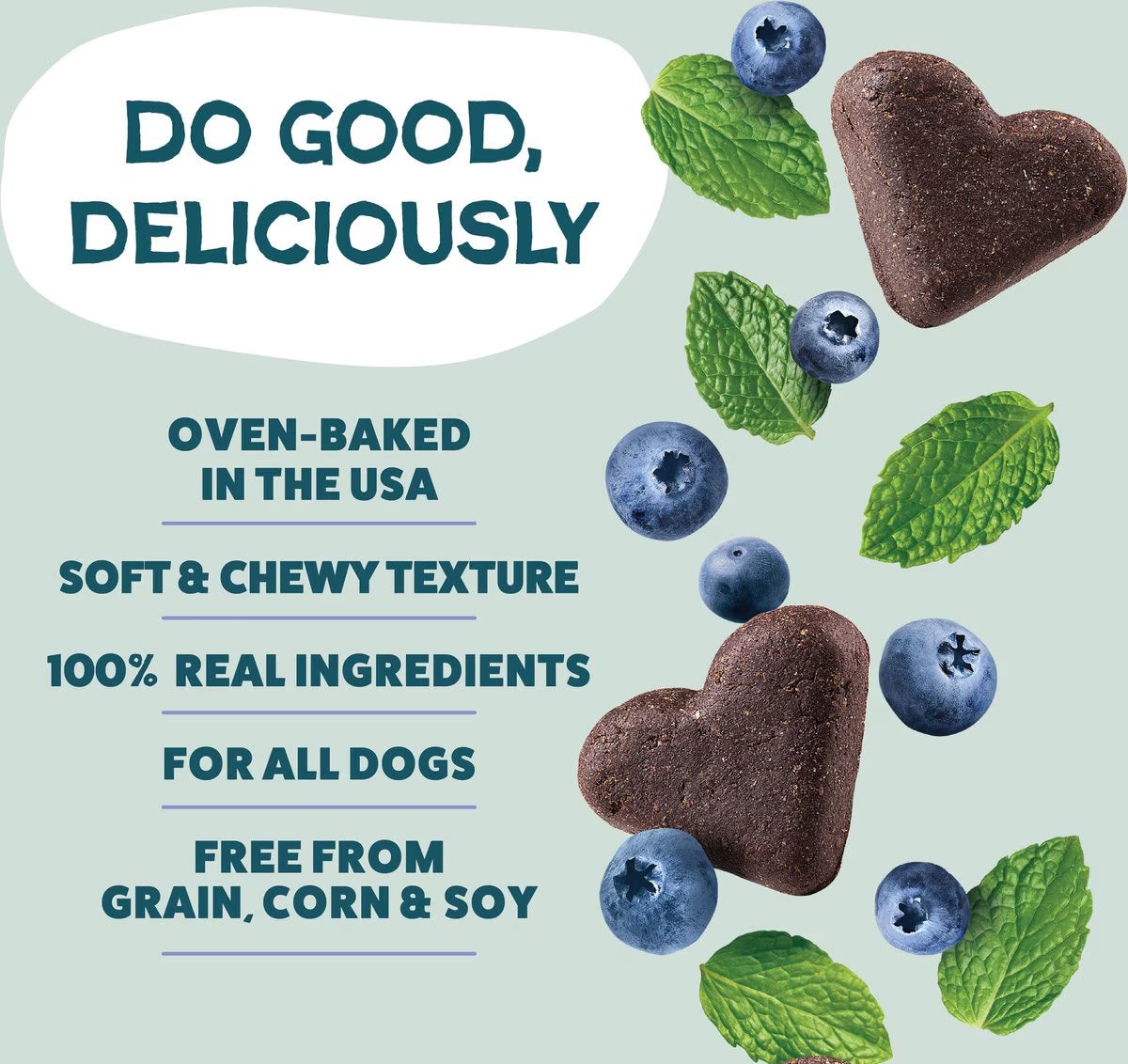 Shameless Pets Blueberried Treasure Soft-Baked Biscuit for Dogs