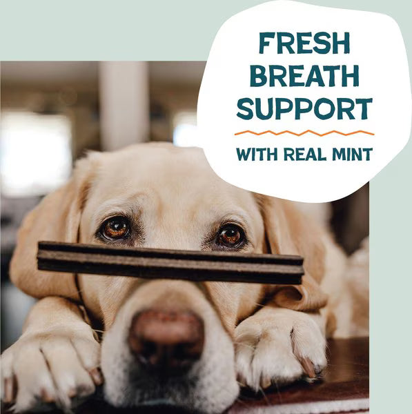 Shameless Pets Carrate Chomp Dental Sticks for Dogs