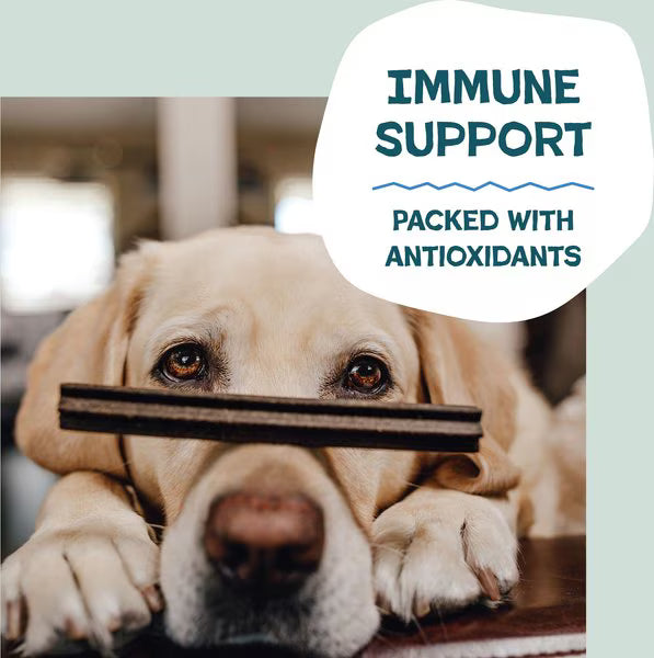 Shameless Pets The Tooth Berry Dental Sticks for Dogs