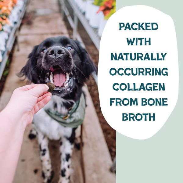 Shameless Pets Bacon Hits Different Bone Broth Chews for Dogs