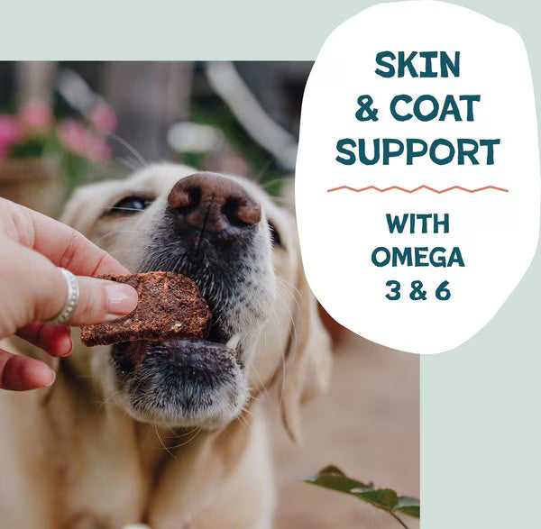 Shameless Pets Salmon Loves Butternut Jerky Bites for Dogs