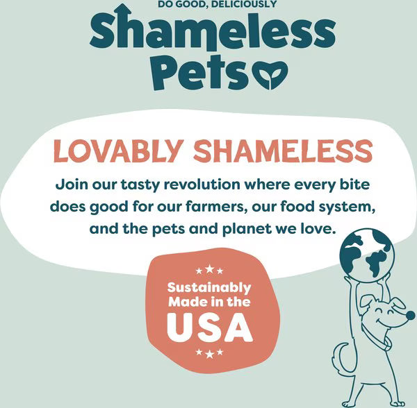 Shameless Pets Salmon Loves Butternut Jerky Bites for Dogs