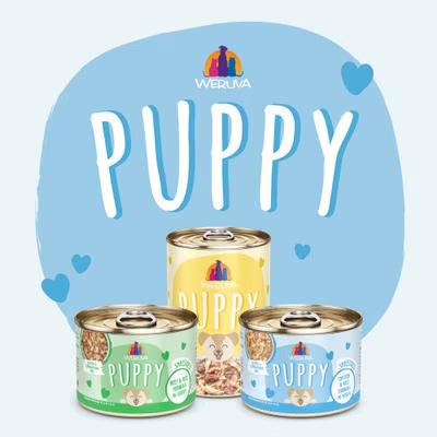 Weruva Puppy Chicken Formula in Gravy Wet Food