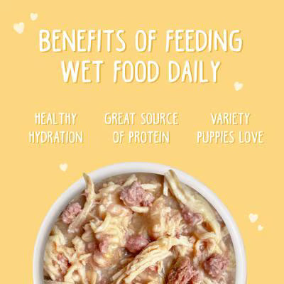 Weruva Puppy Chicken Formula in Gravy Wet Food