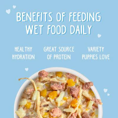 Weruva Puppy Chicken & Rice Formula in Gravy Wet Food