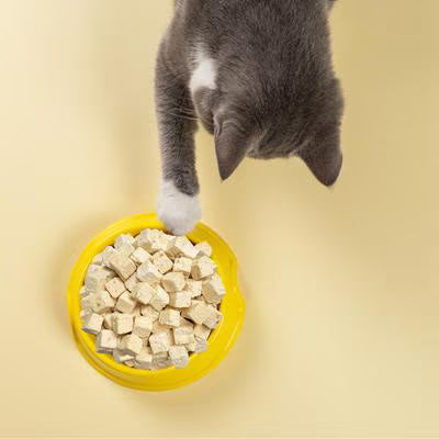 Weruva Cat Freeze-Dried Mideast Feast