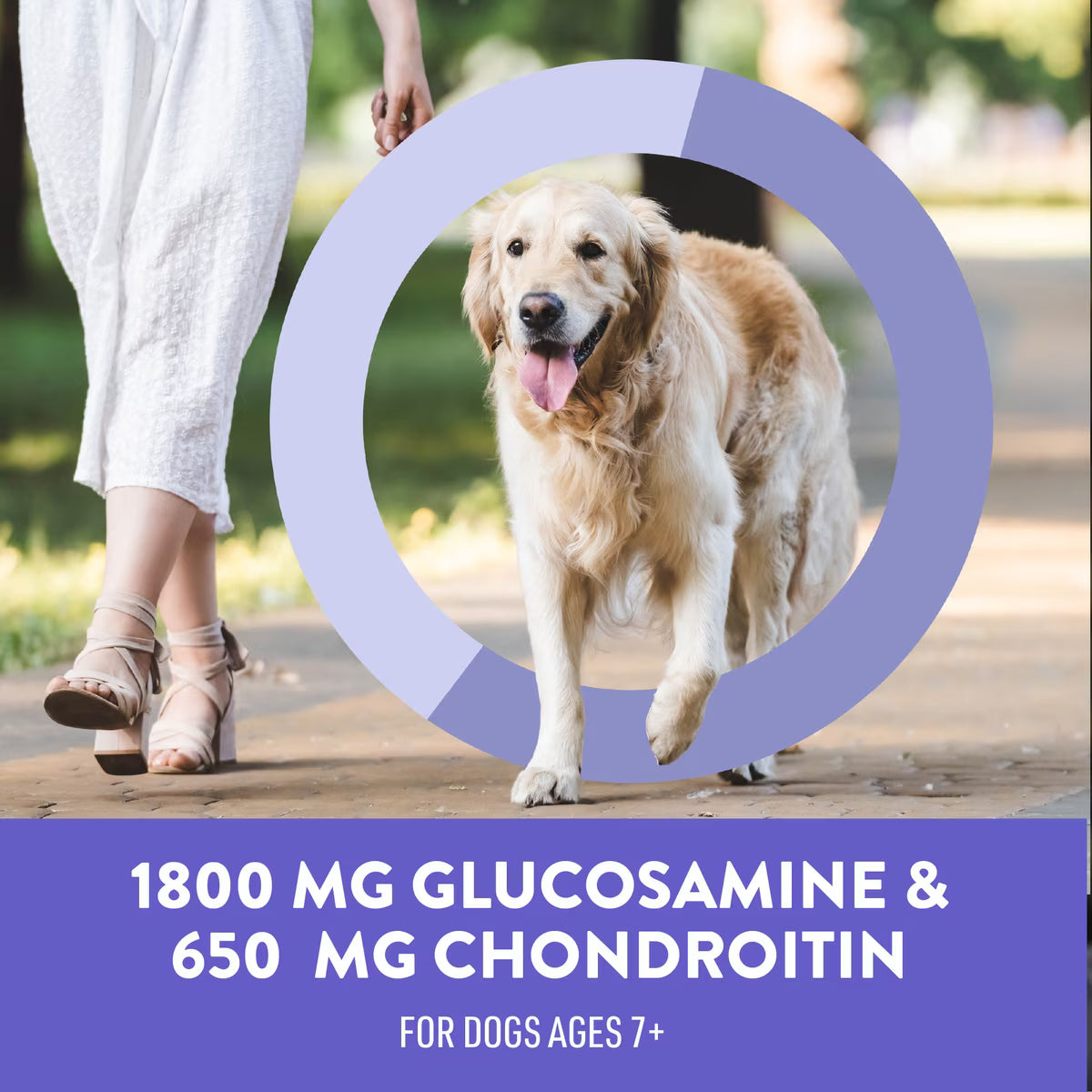 Dogswell Lifestage Senior Treats Jerky Soft Strip Duck